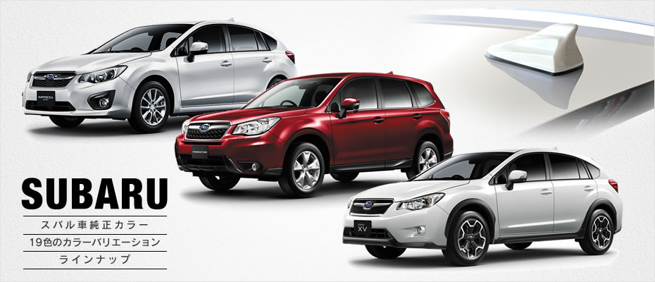 �ɥ�ե��󥢥�ƥ�